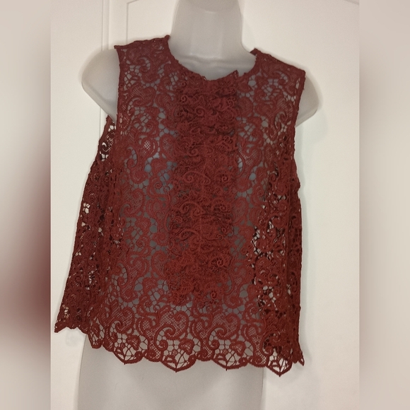ZARA WOMAN Red sheer Lace sleeveless Boho Fairy Maroon Whimsigoth Top size M - Picture 6 of 6